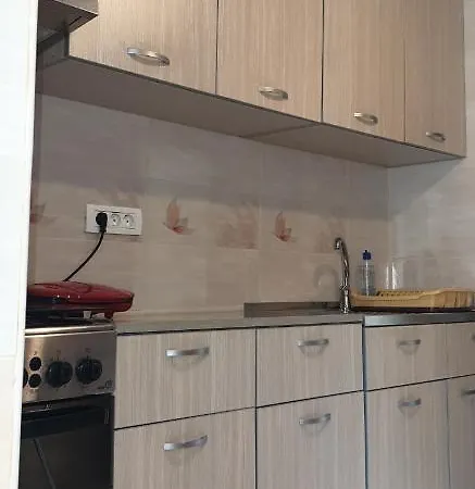Apartament David 1 Dormitor, 1 Living Apartment *